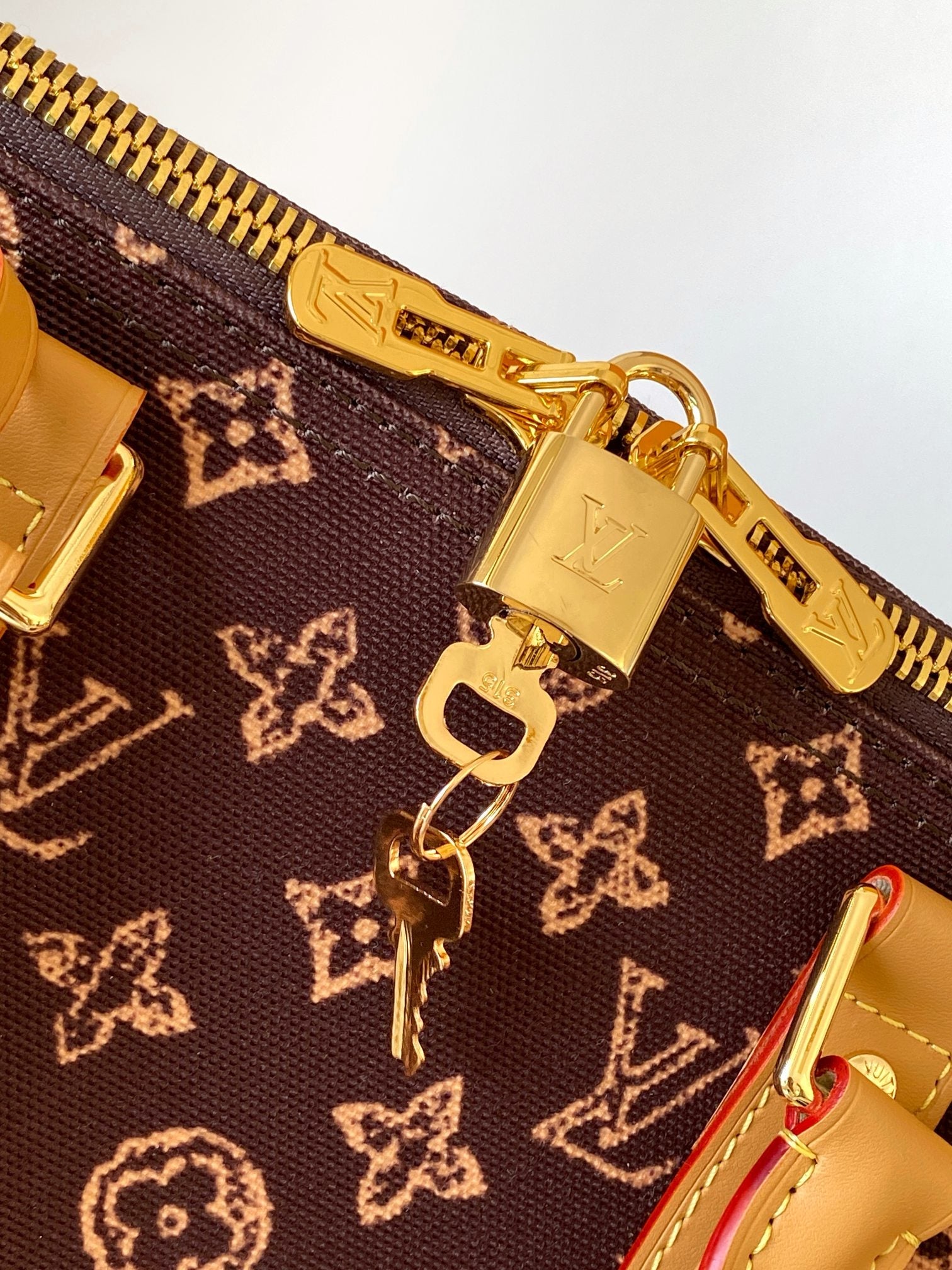 LV Travel Bag